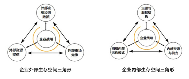 企業生存空間