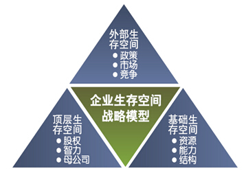 企業戰略咨詢