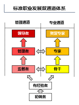 我們標準職業發展雙通道體系