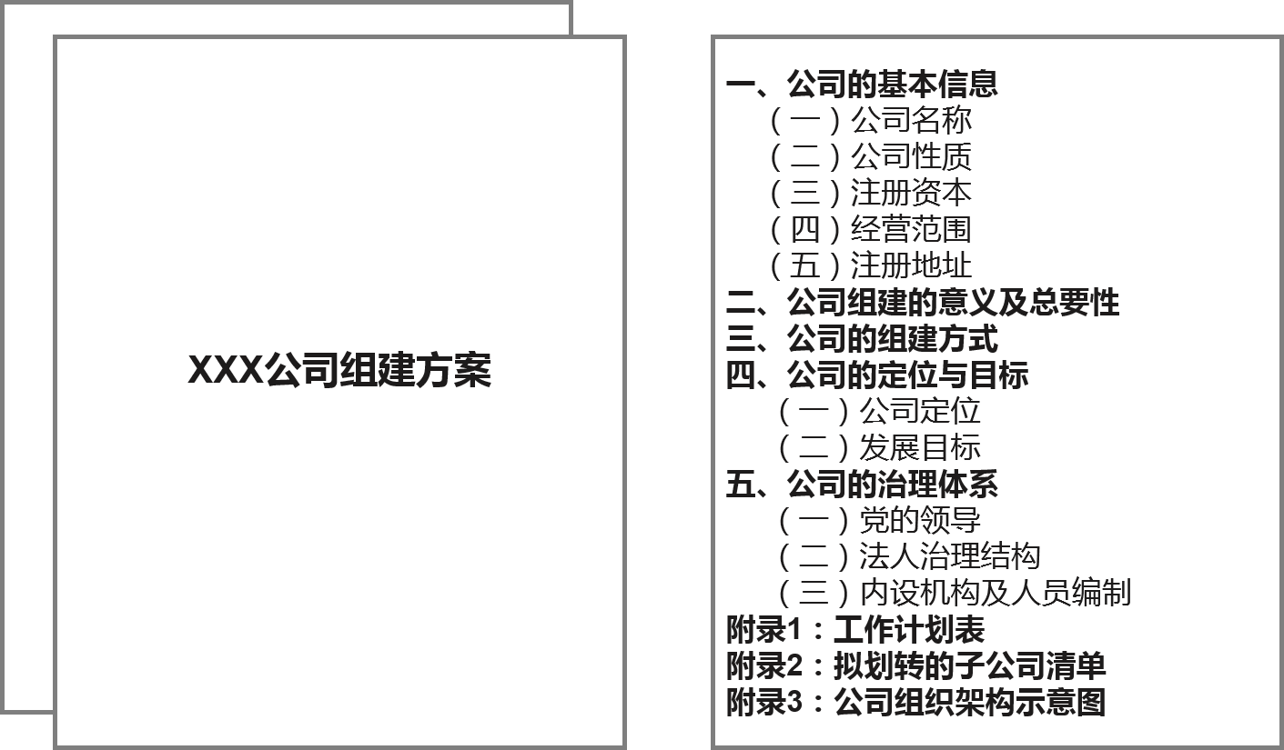 某電網公司下屬企業改制組建方案